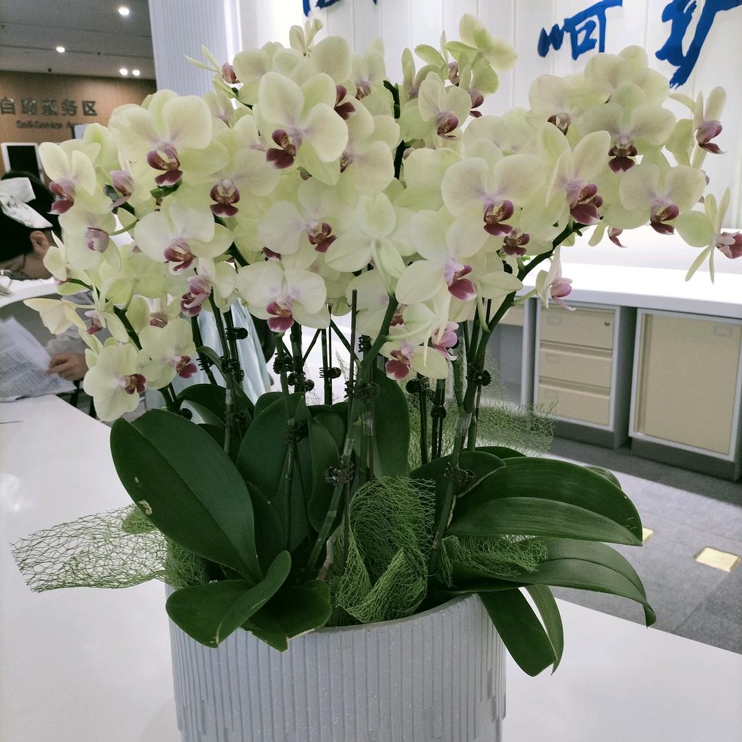 难忘