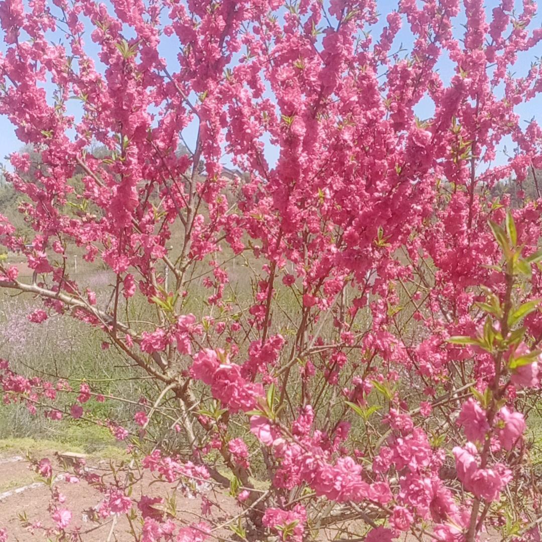 心伤透了