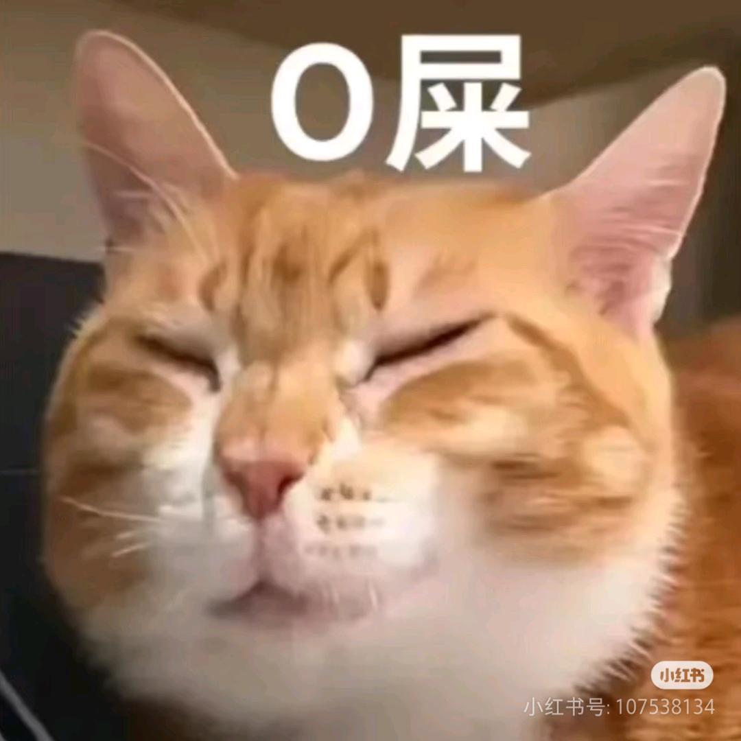 阿爽的民宿生活