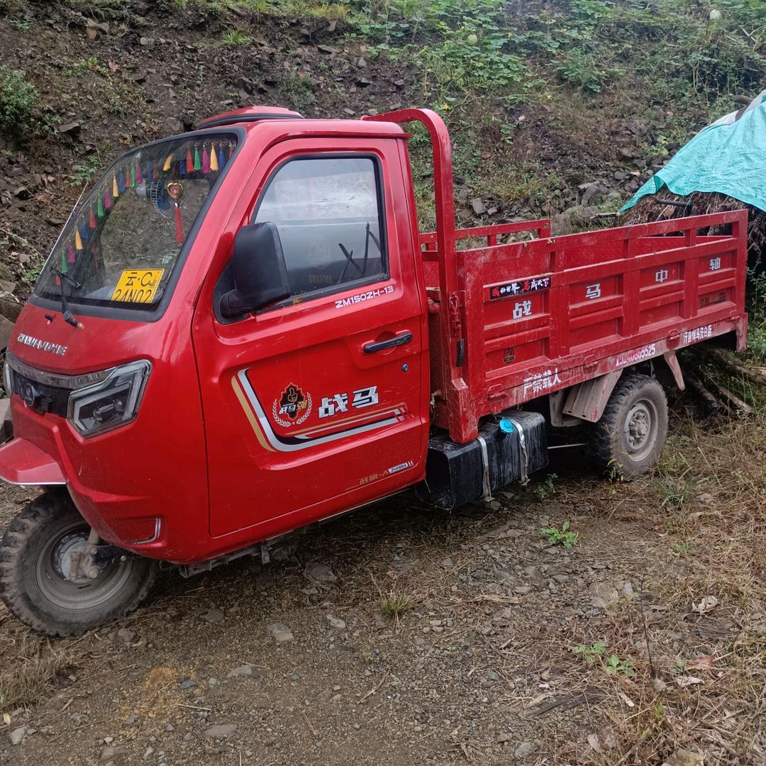 靖哥哥699单身人