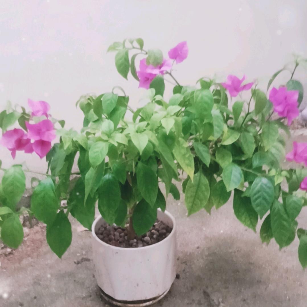 等你半夜🌹