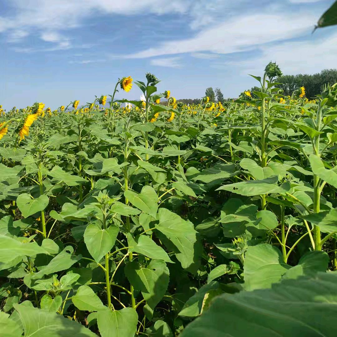 有你真好！！！！