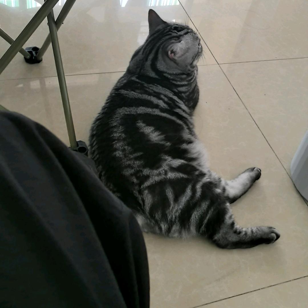 欣欣子。