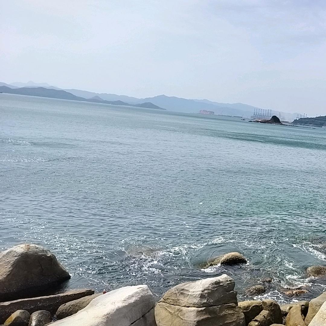自己的苦自己渡