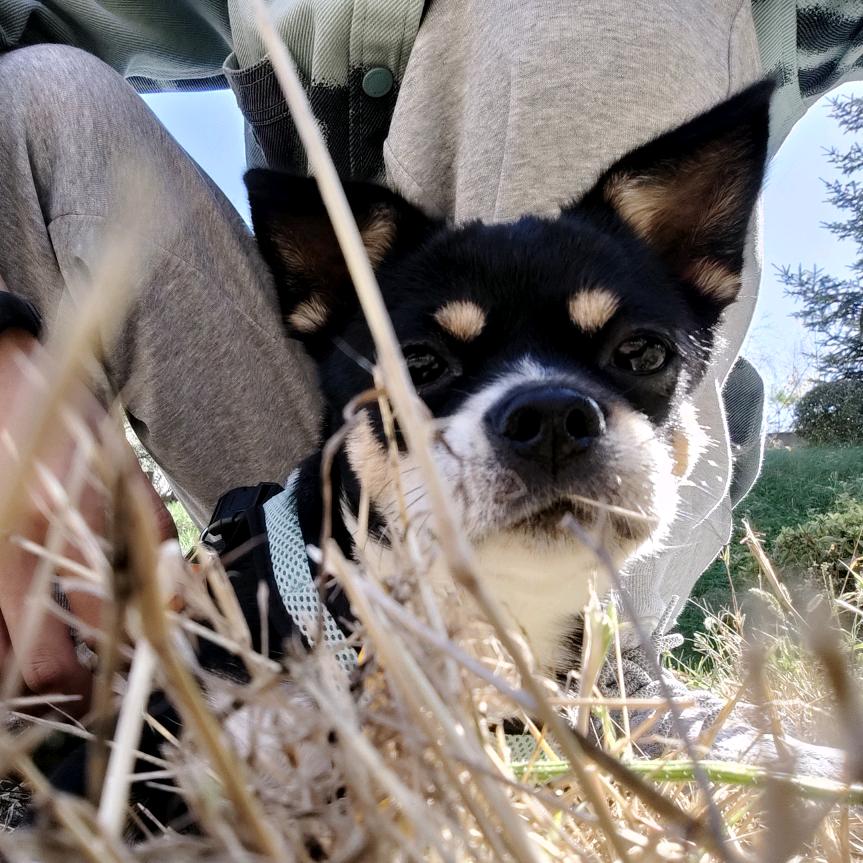 热心市民吴先生