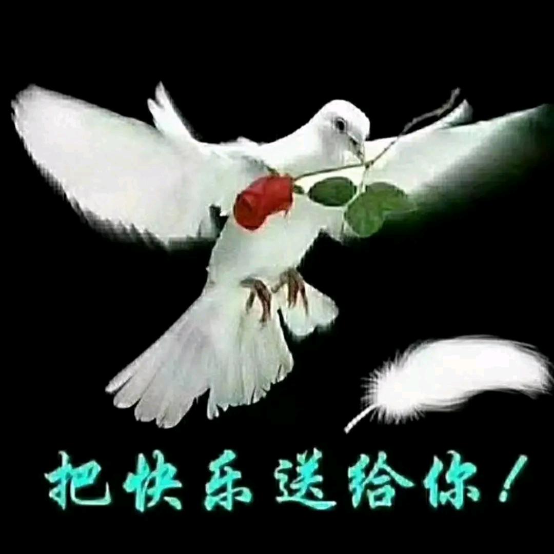 🔥🔥一起玩👫