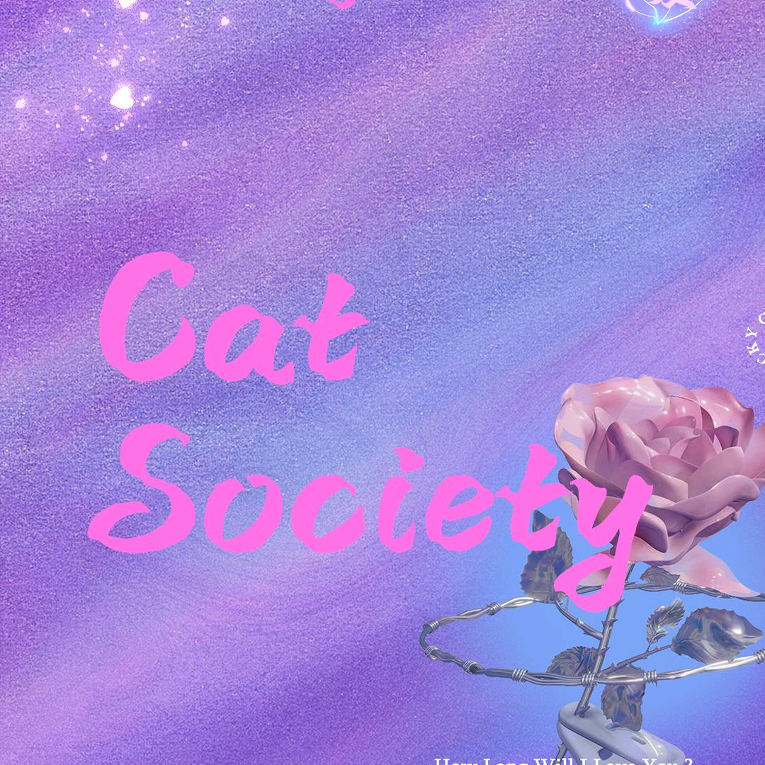 FelinesFinds猫咪公社