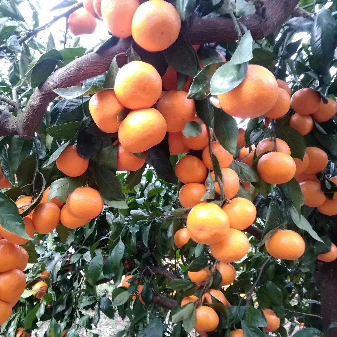 一切与我无关