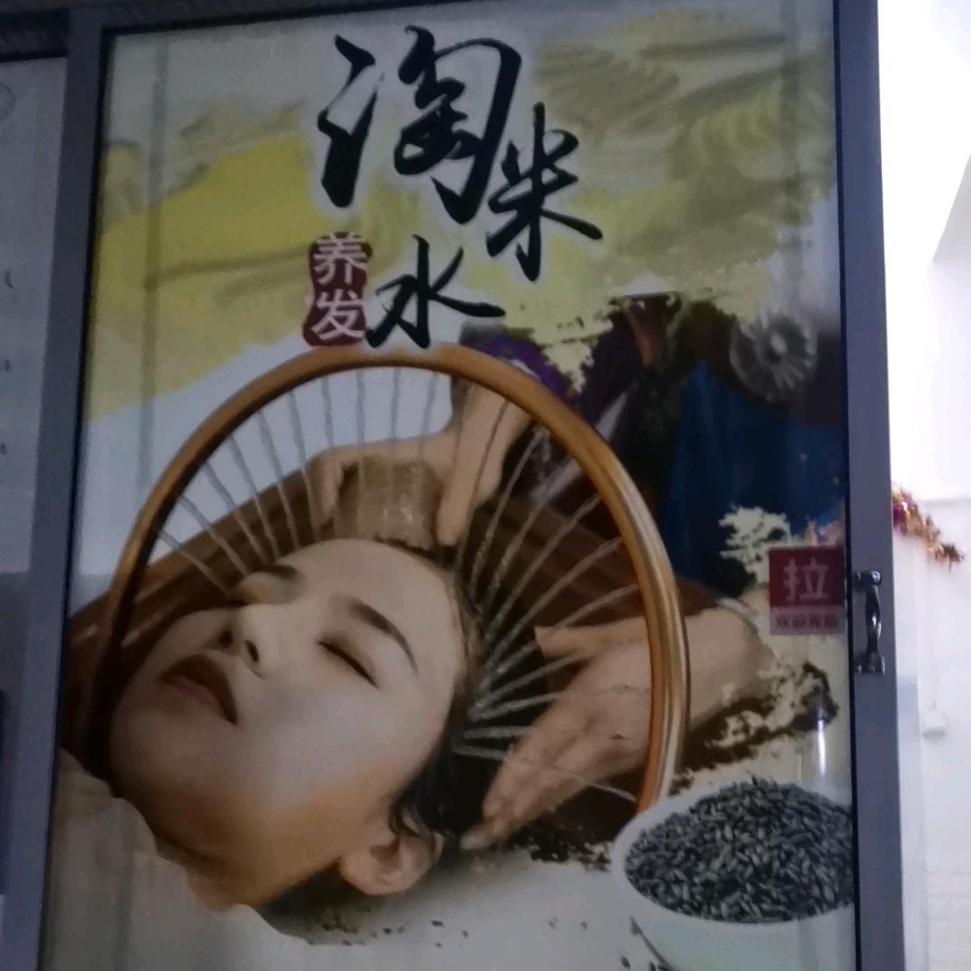 茶氏家族山茶麸叶老师