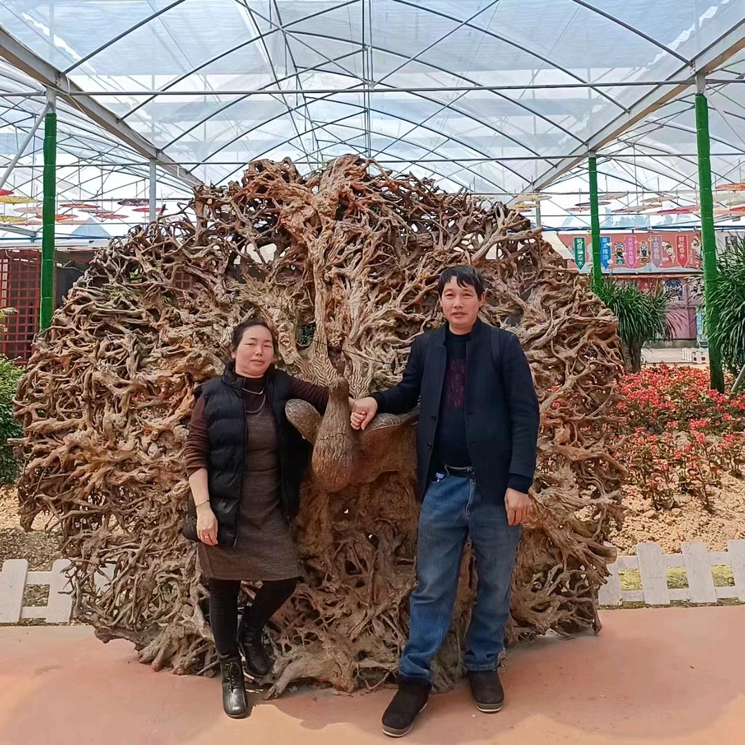 了不起的小个子