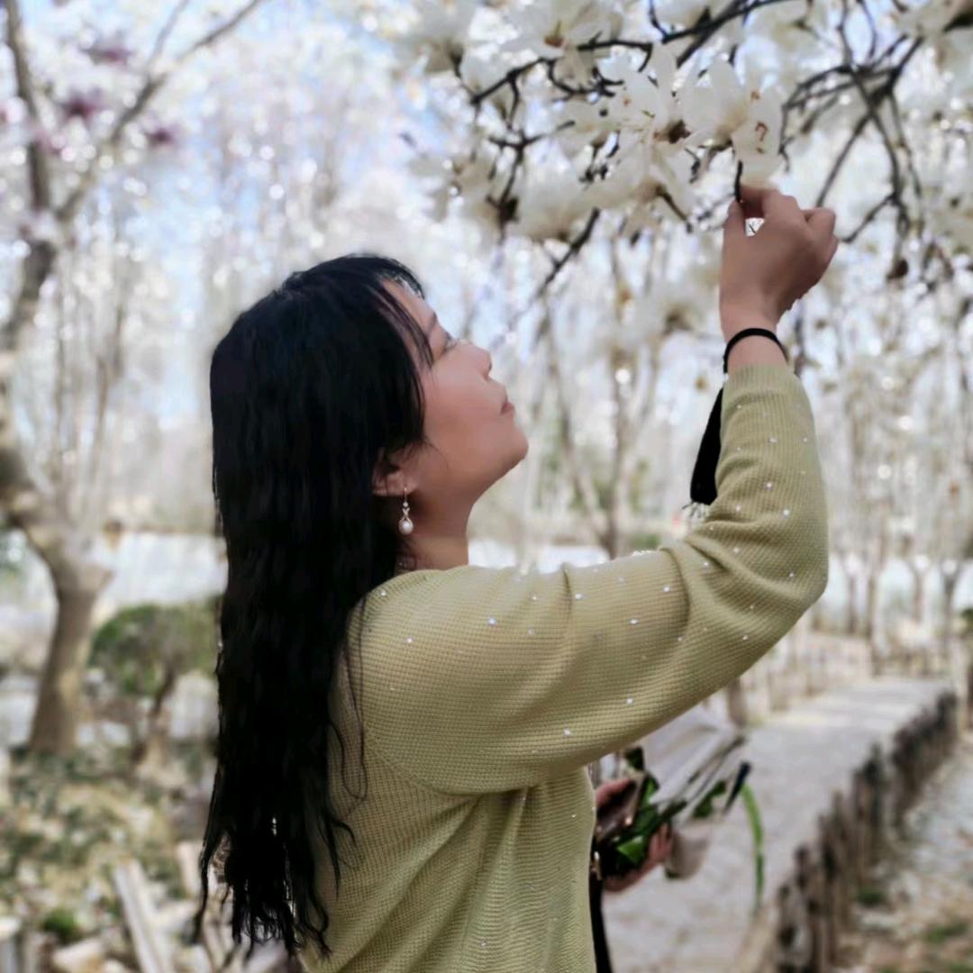 落花窗台