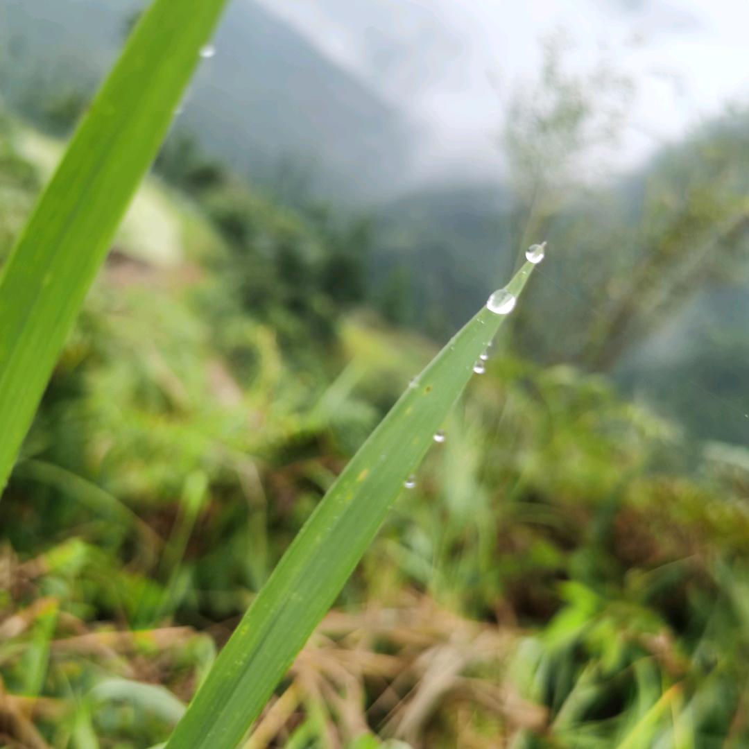 小雷达SS