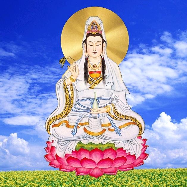 禅韵悠然