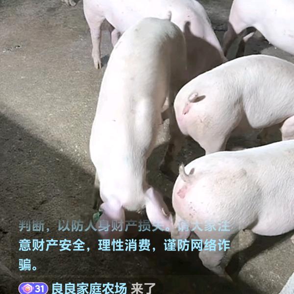 良良家庭农场