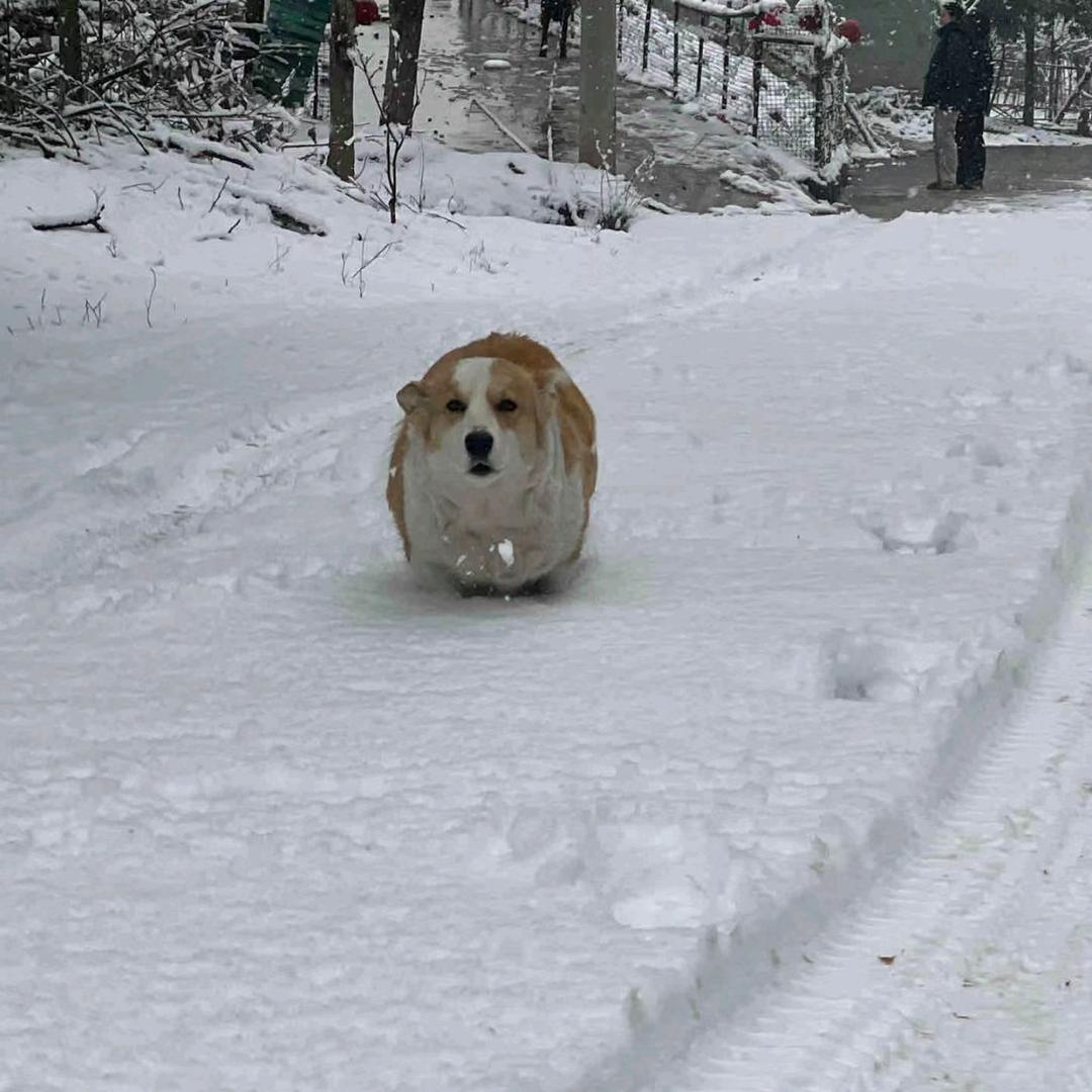 Pancake