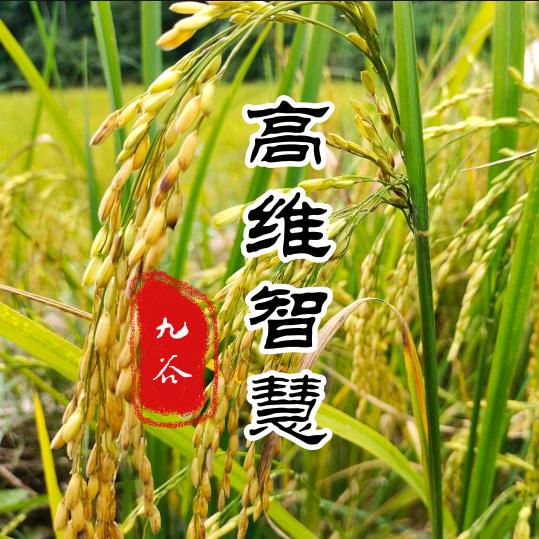 九谷（光和爱）