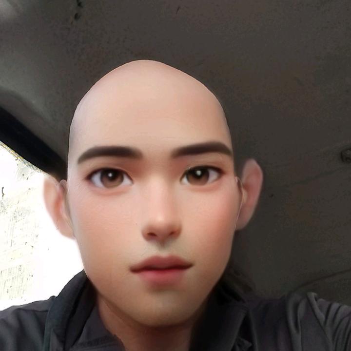龙的传人