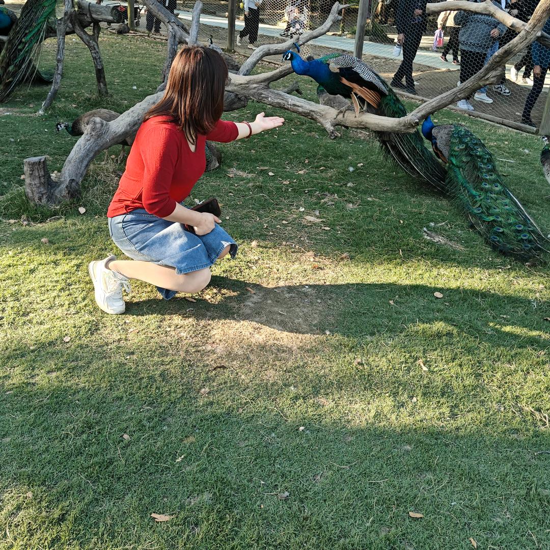 佳佳«拒绝私聊»