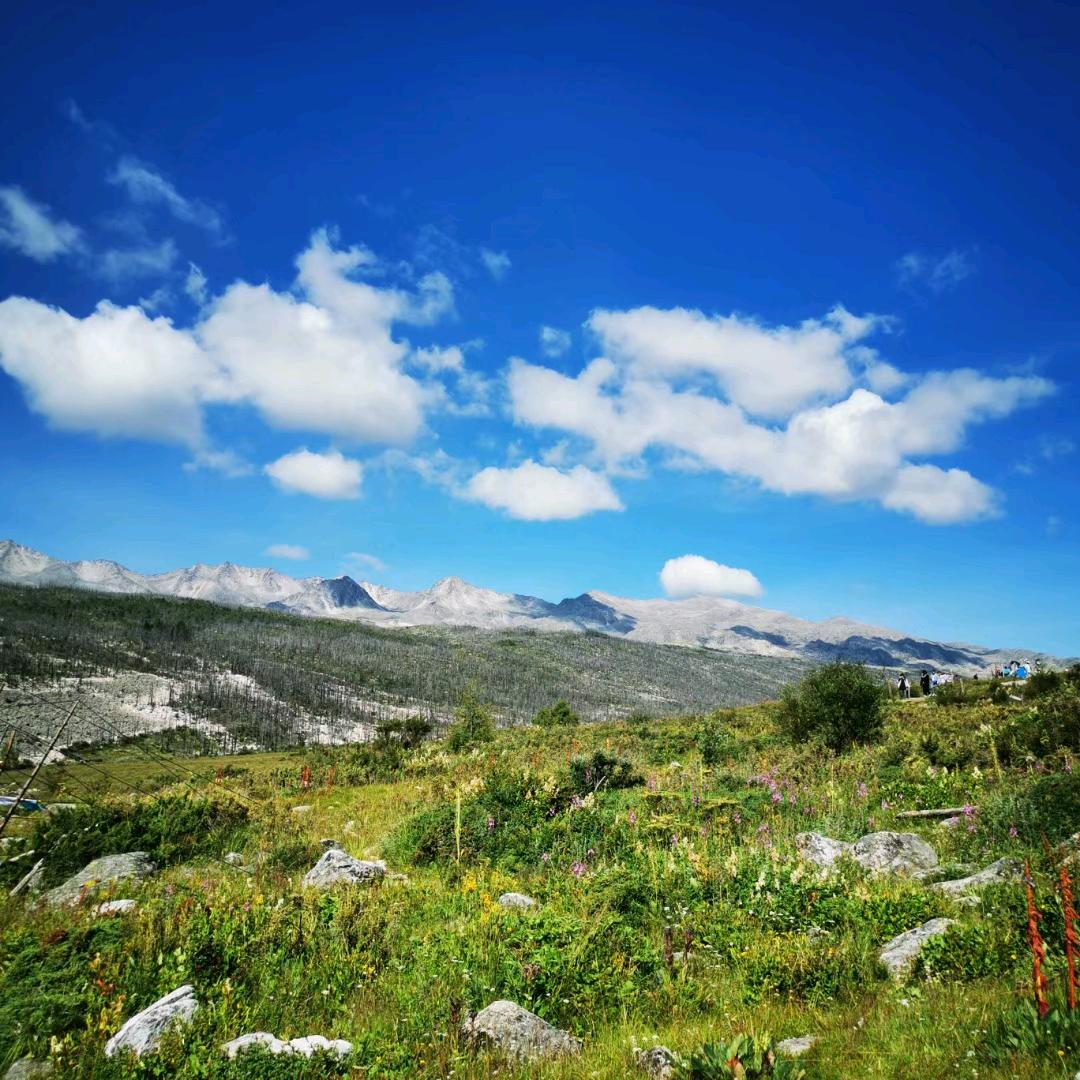 木格措景区彭姐