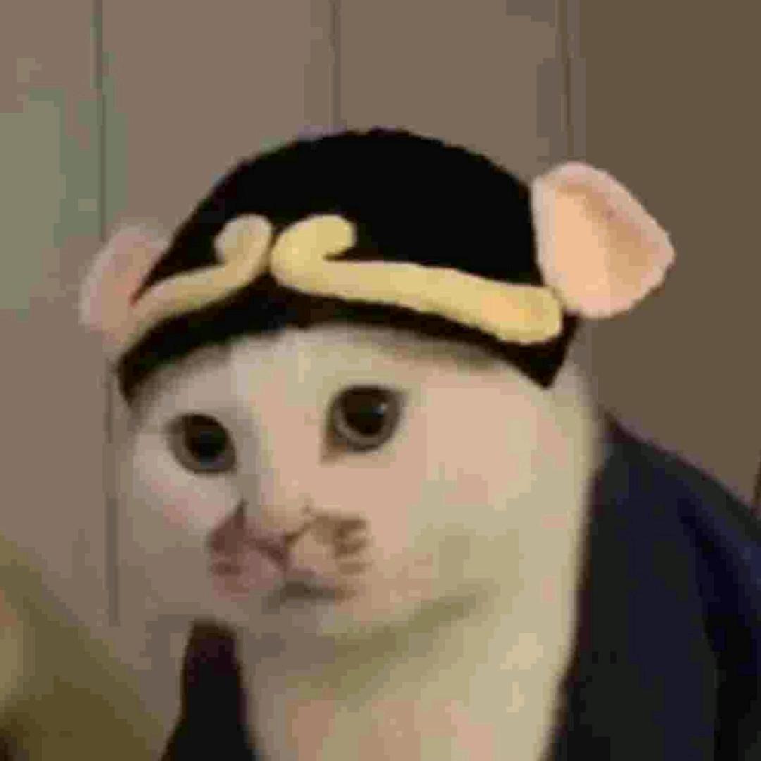 騎着小豬耕田