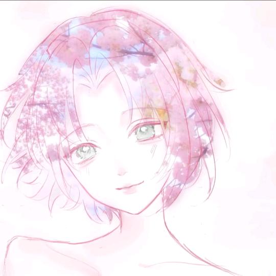 炒洋芋🌸