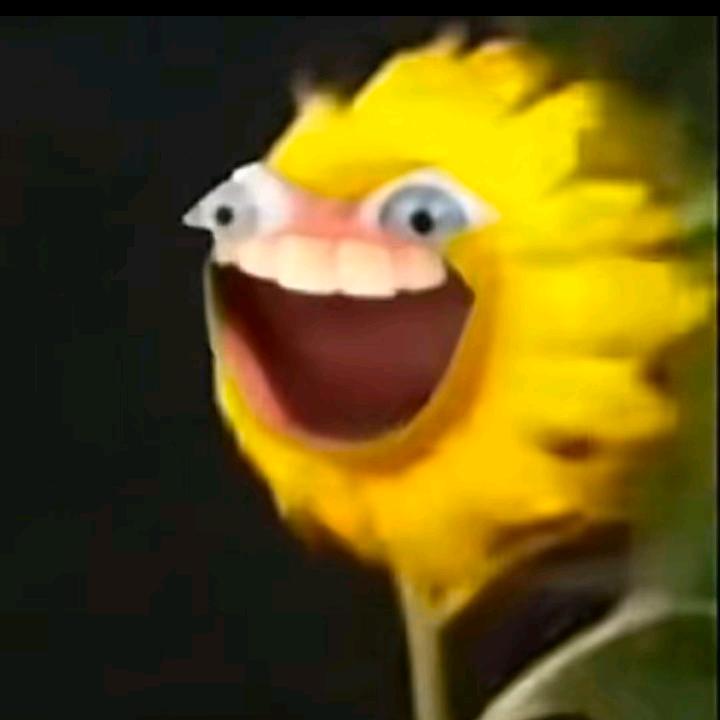 元气少女猪刚鬣⊙▽⊙