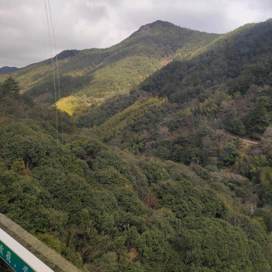 💗英༒ۣ英🌹🌹