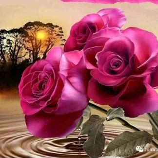 🌹努 尔江古丽 🌹🌹