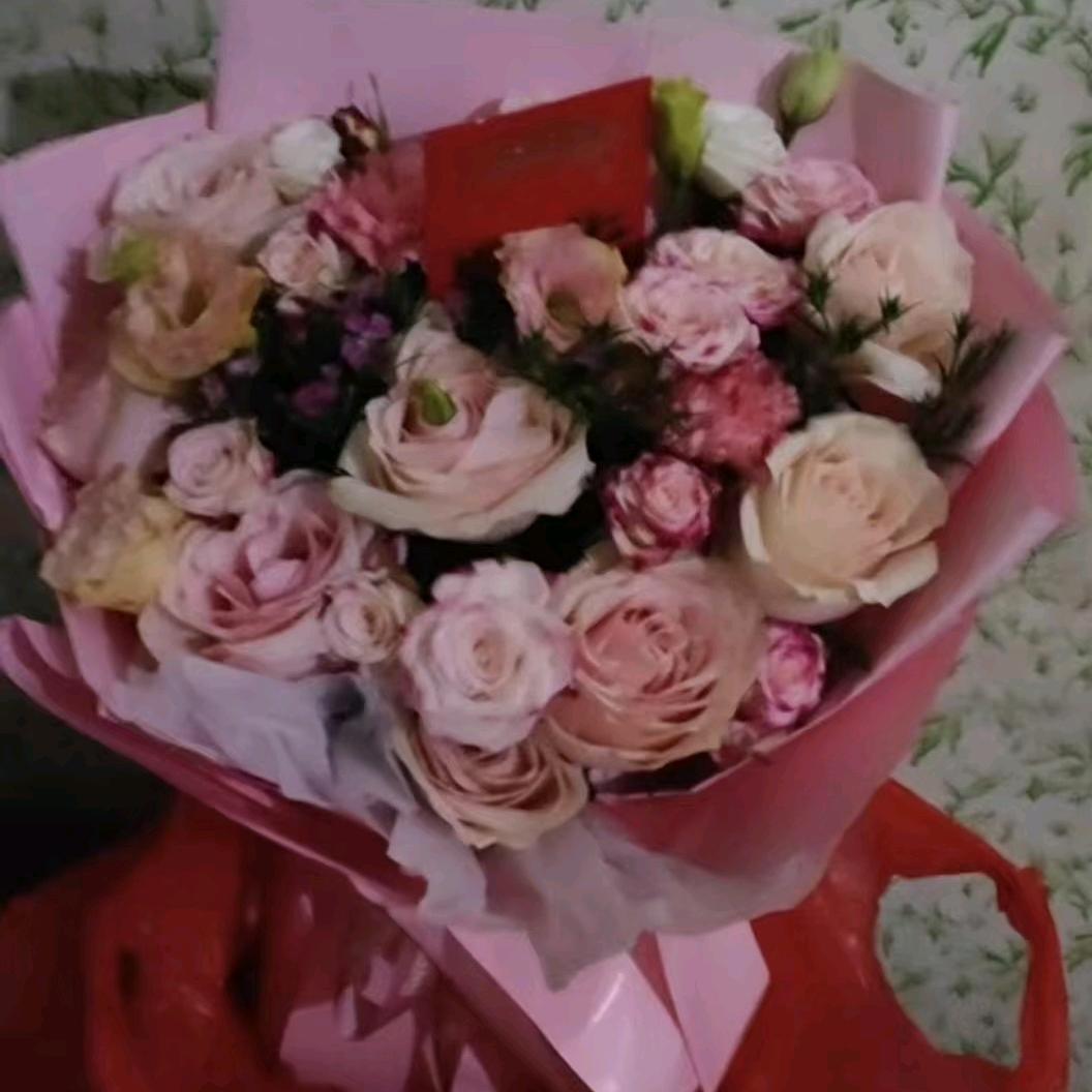 用户我是杨春花