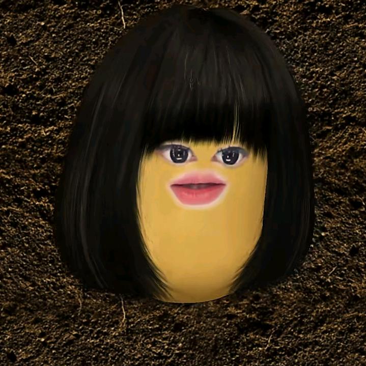 雨过天晴    是     🌈🌈