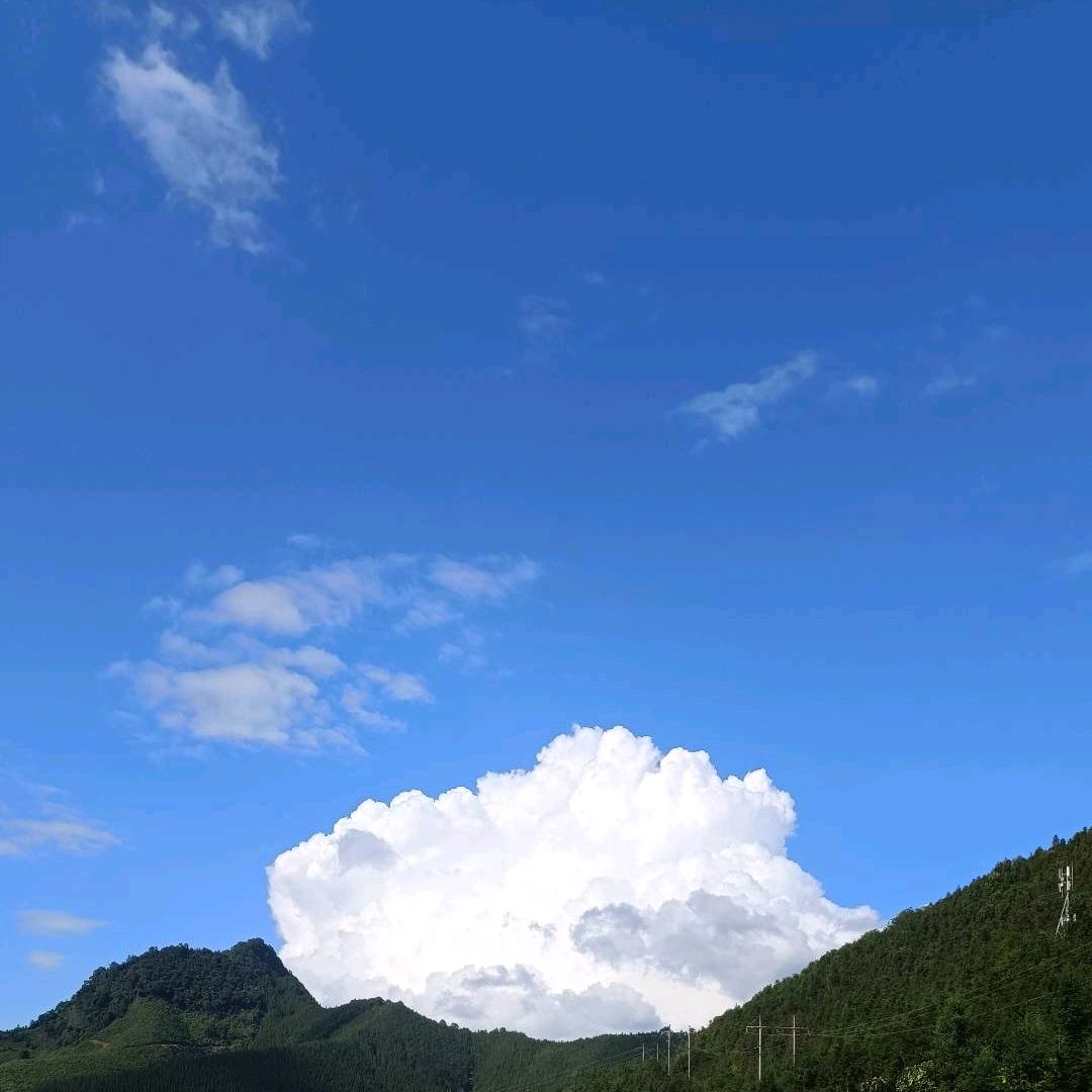 红桃J