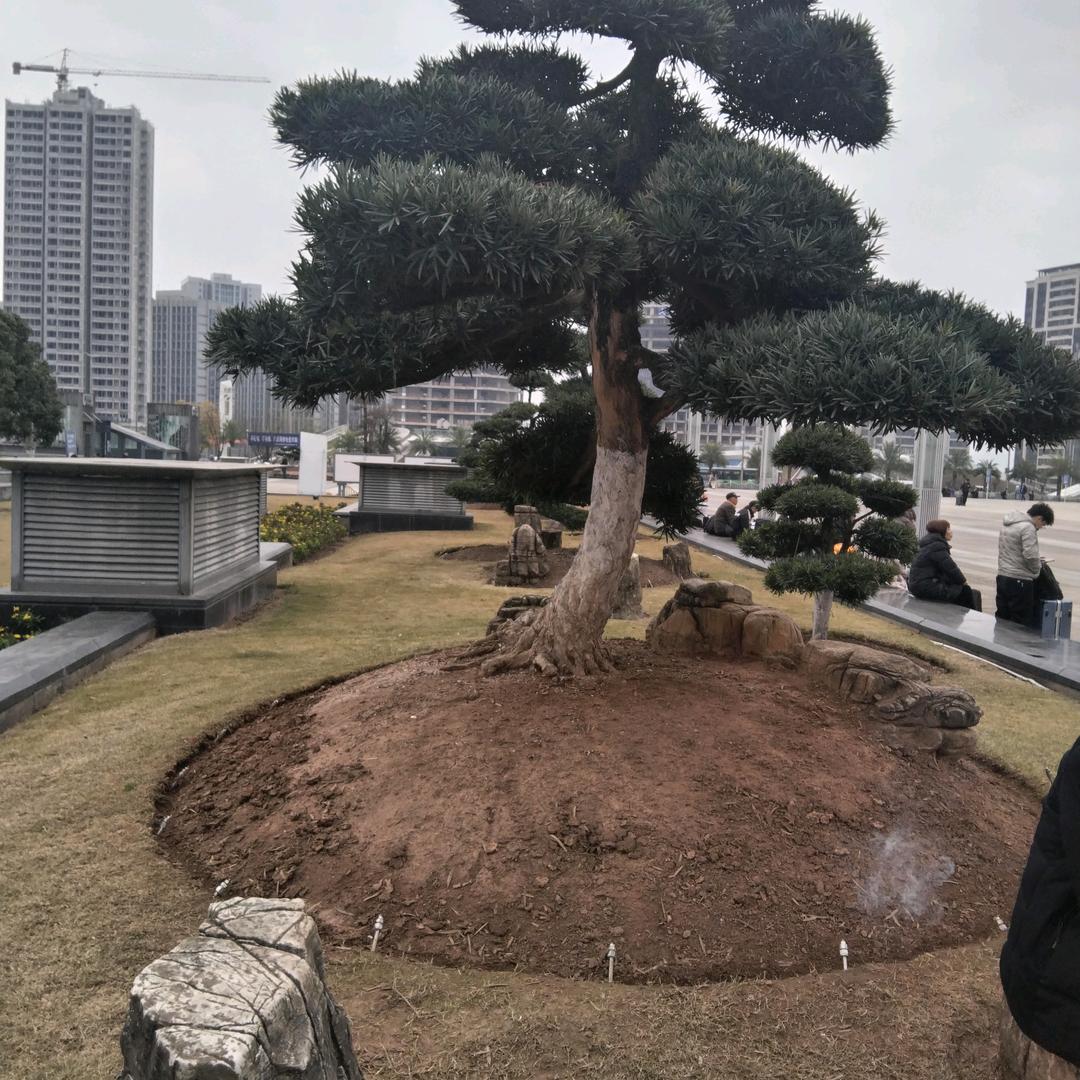 笑谭人生
