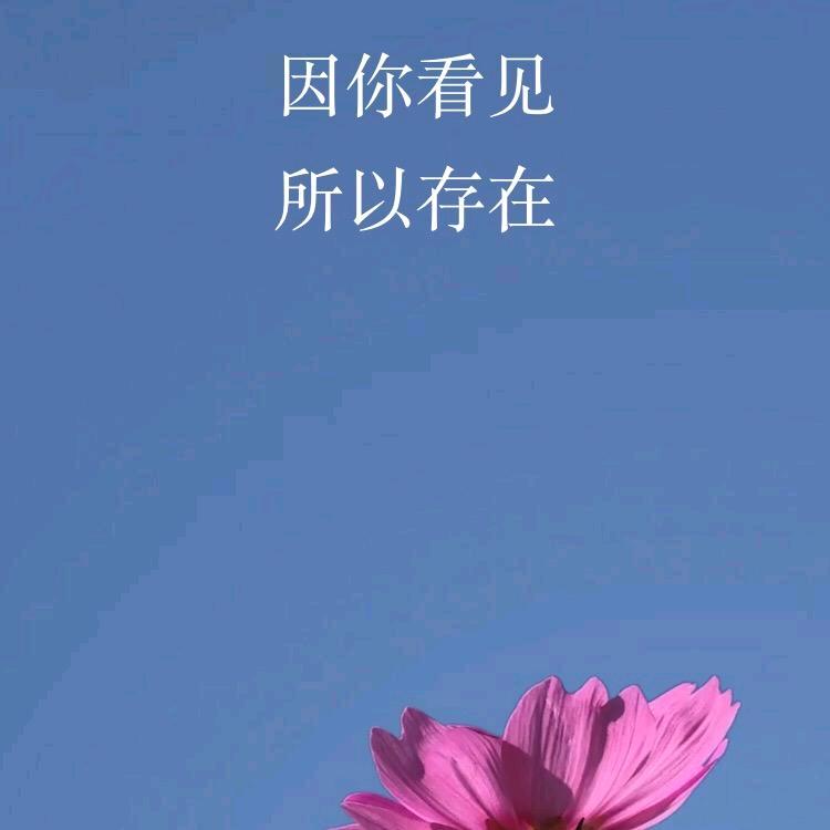 金戈