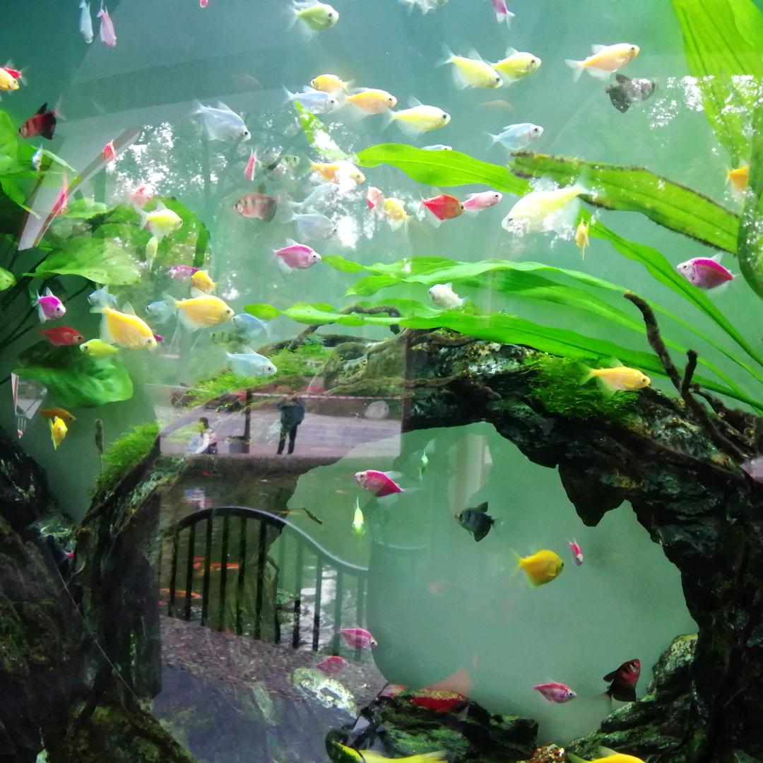 雨天（在奋斗的路上，晚上8点开播）