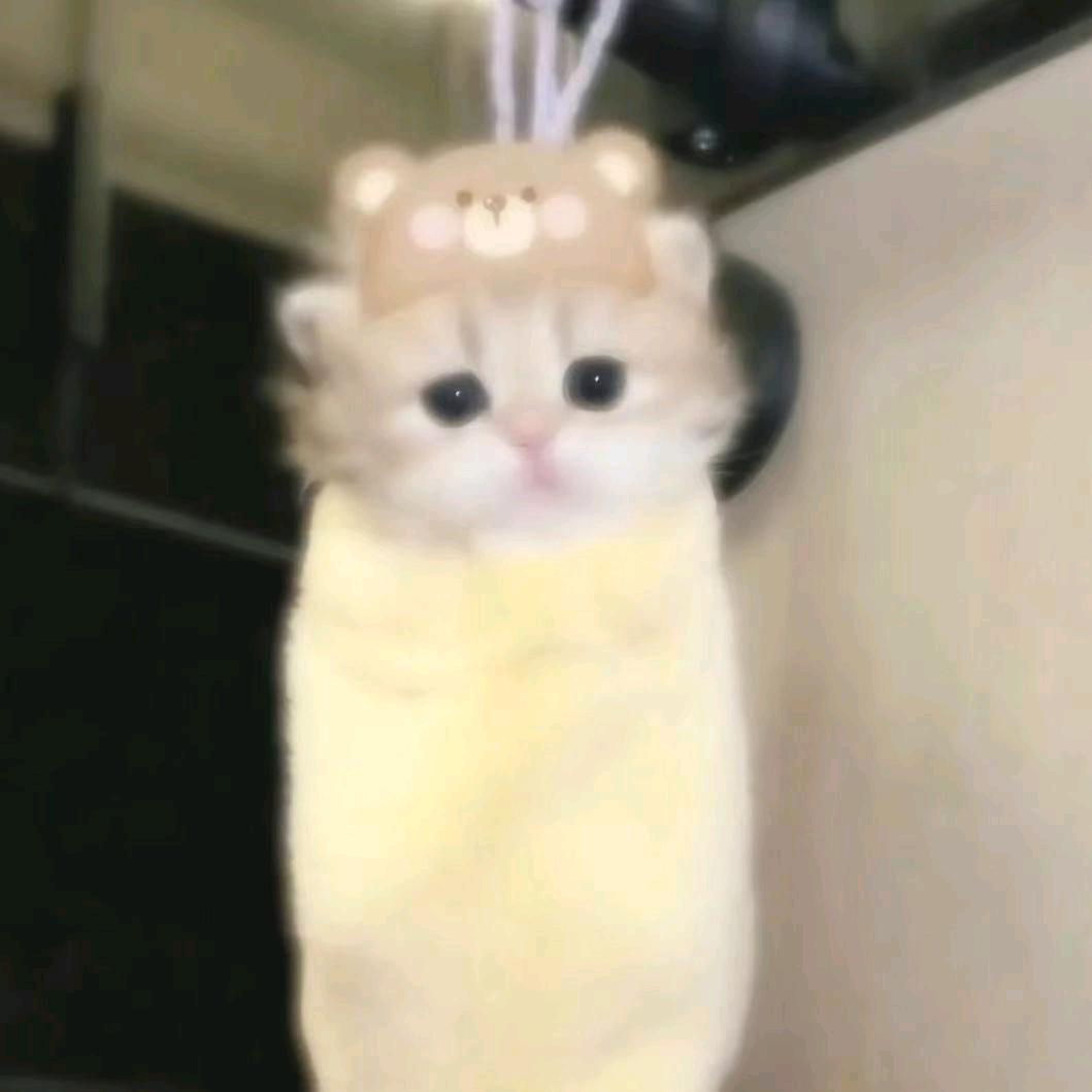 颖颖大王的小跟班