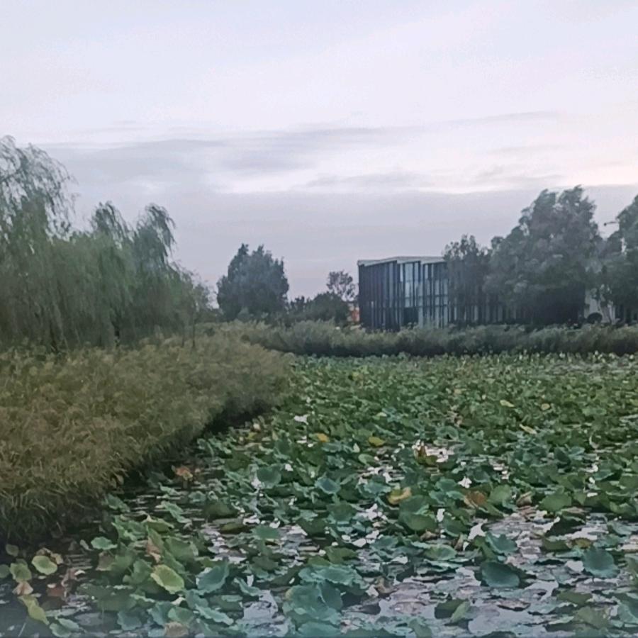 过去