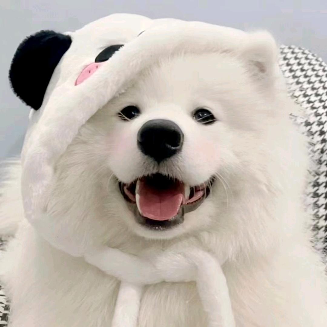 乐琪百货