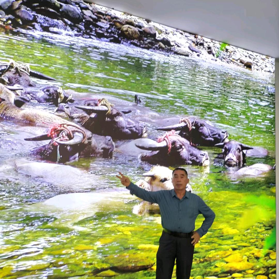 高哥，7874916120471