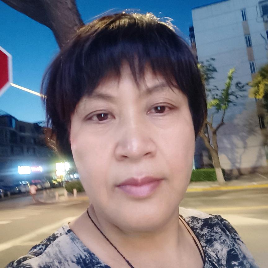 自由飞翔的海鸥