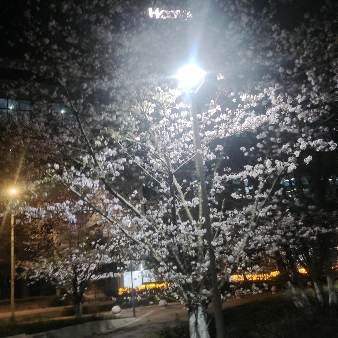 何为少年