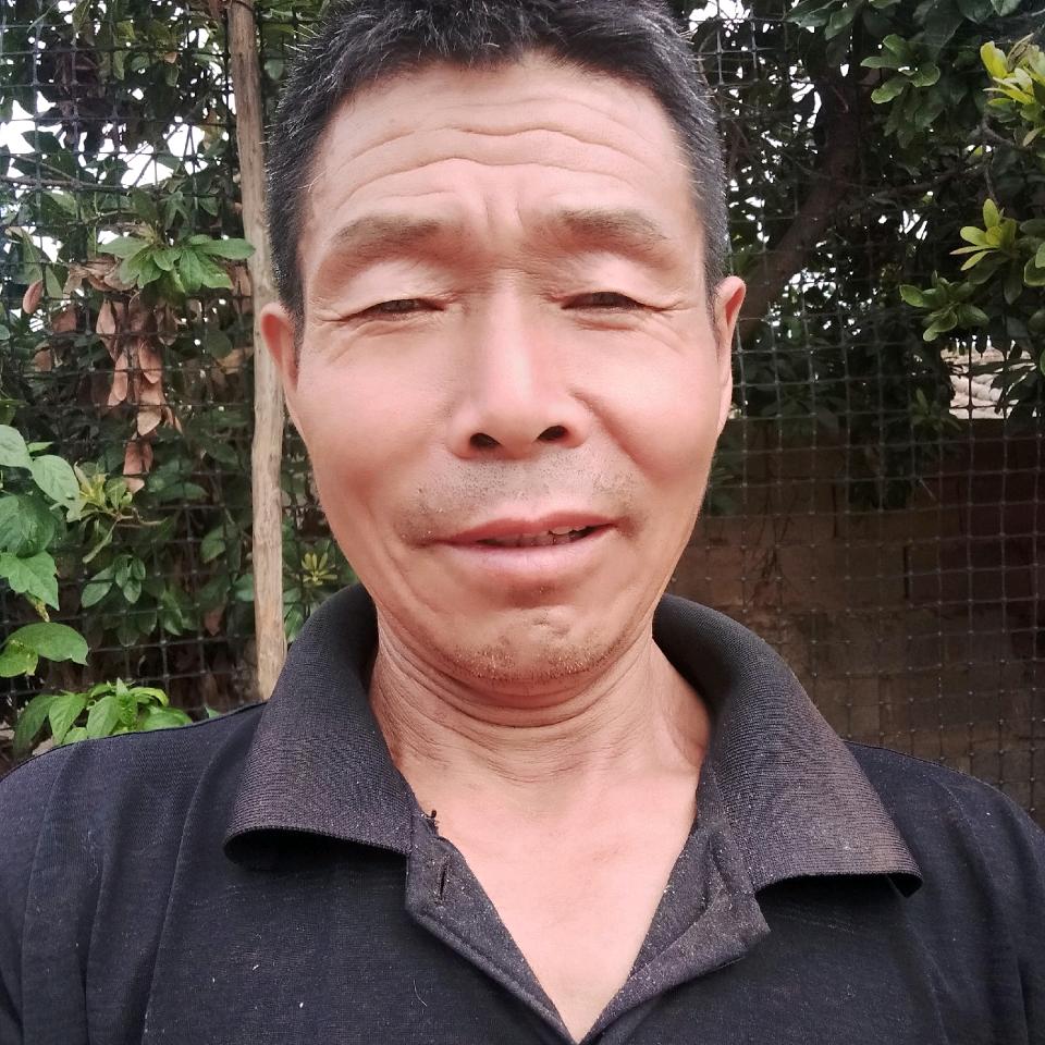 DD李志洪