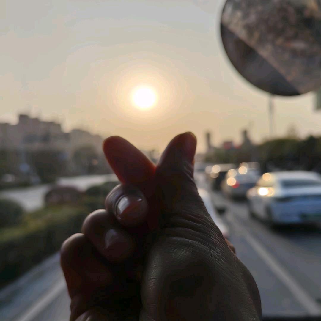 @向阳而生