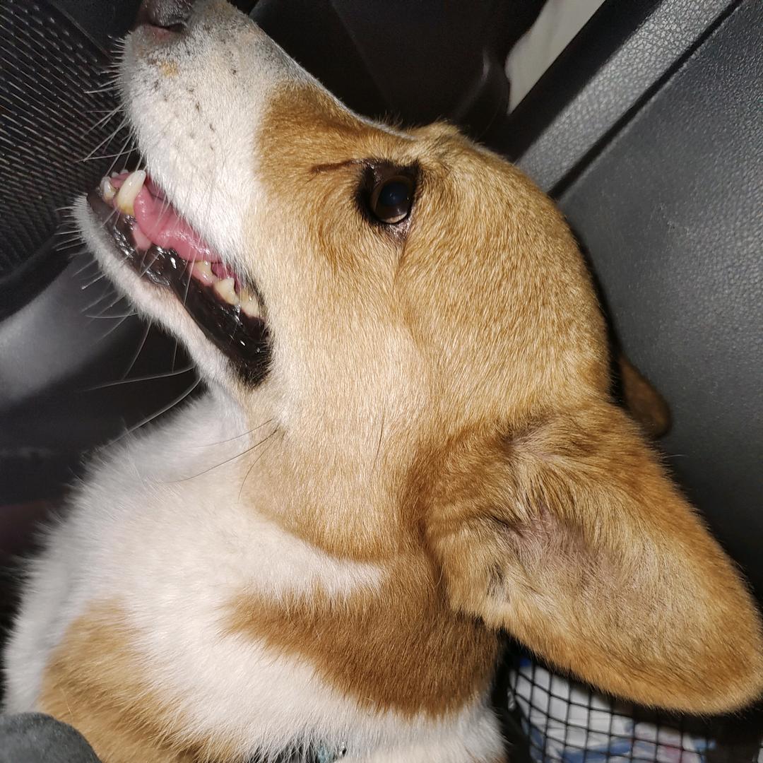 恒万宜