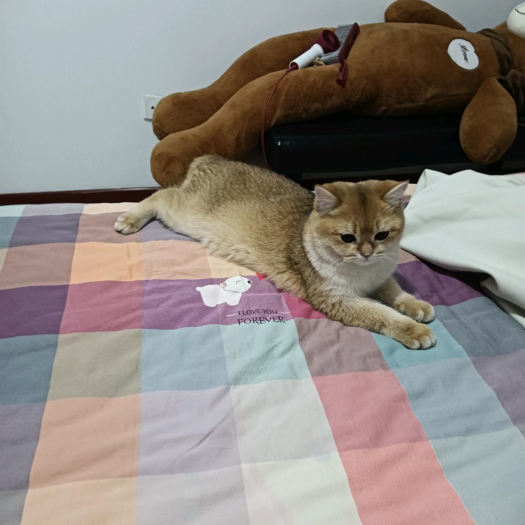 @小钱钱@♧头像