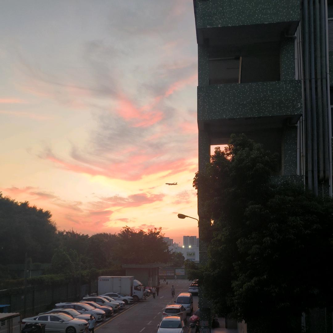 大鹏展翅
