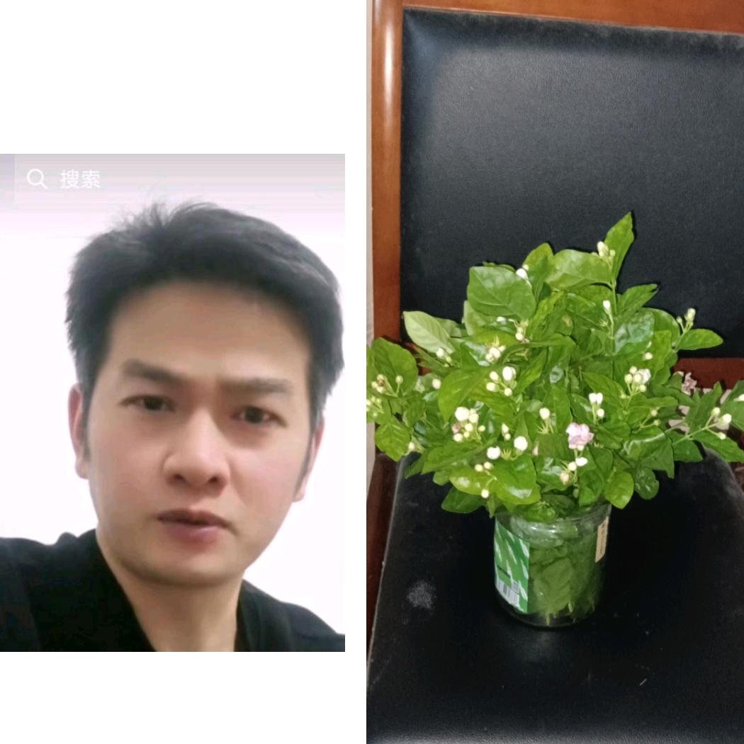 朱七哥
