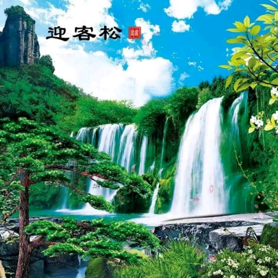 大树………