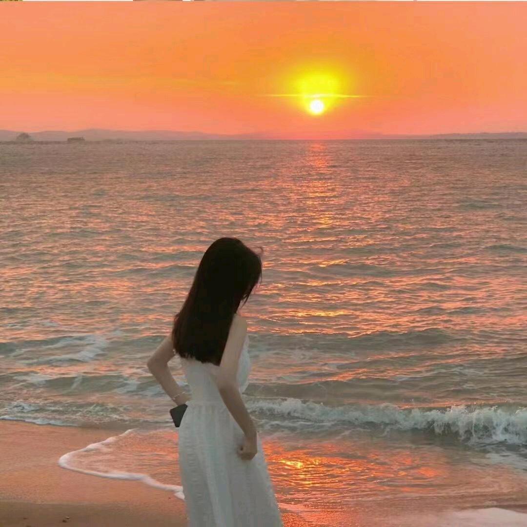 赫奈🦢分享版