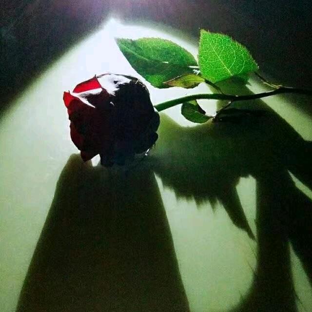 来圣