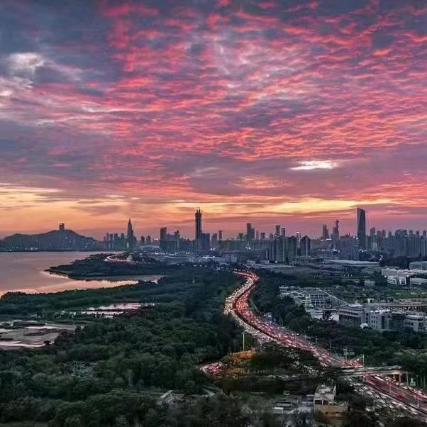 黑暗之鹰